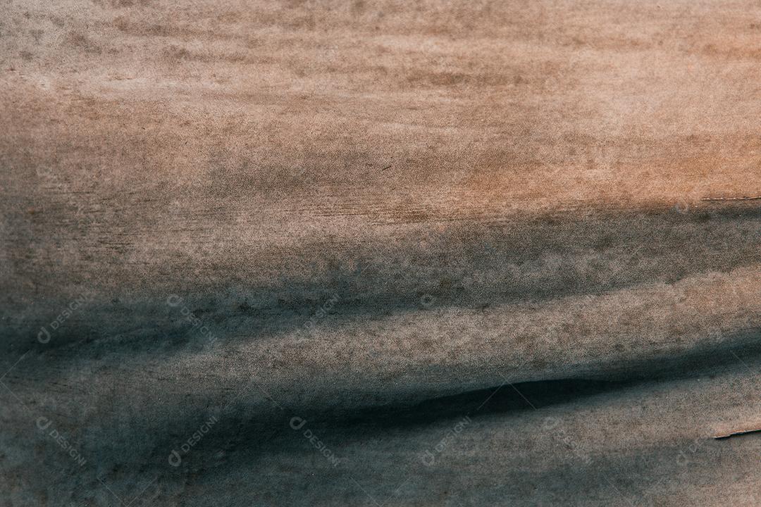 Fundo com textura de folha de cacto verde