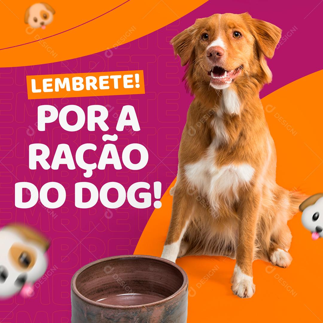 Lembrete Por A Ração Para O Seu Pet Social Media PSD Editável