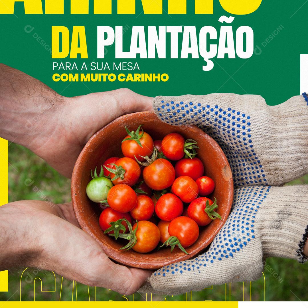 Da Plantação Para  A Sua Mesa Com Muito Carrinho Social Media PSD Editável