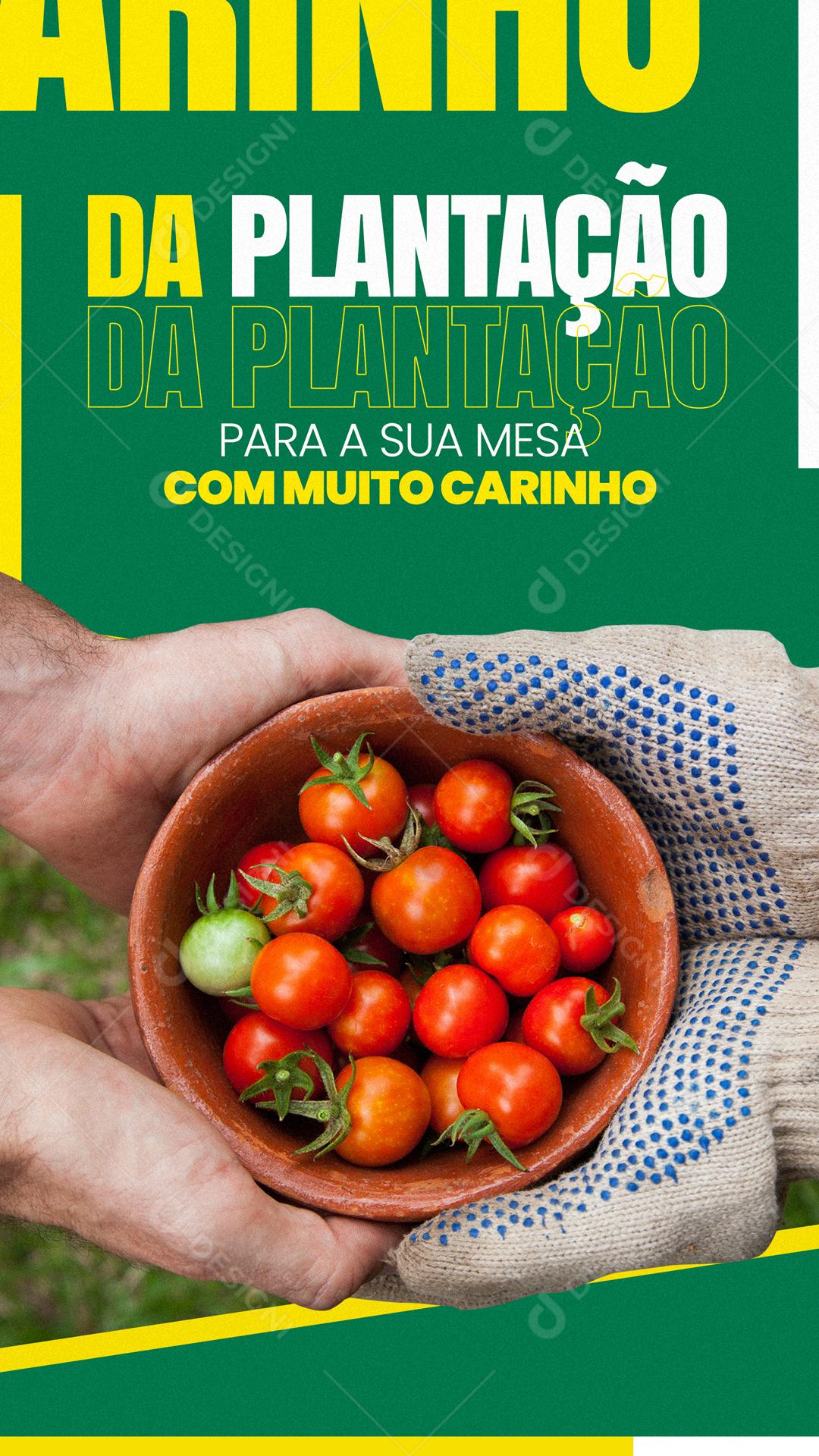 Da Plantação Para  A Sua Mesa Com Muito Carrinho Social Media PSD Editável