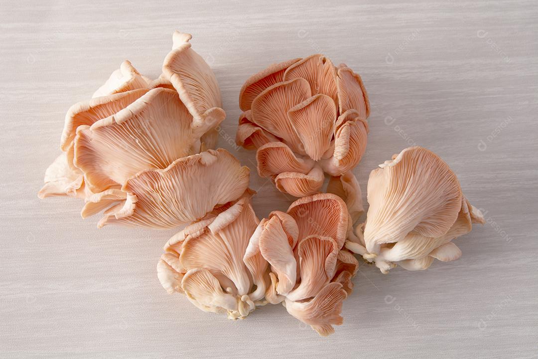 Cogumelos de salmão sobre fundo de madeira.