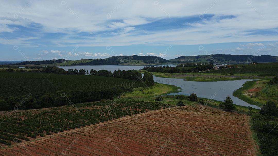 Plantaçao de Jasmim-árabe Plantas agropecuaria
