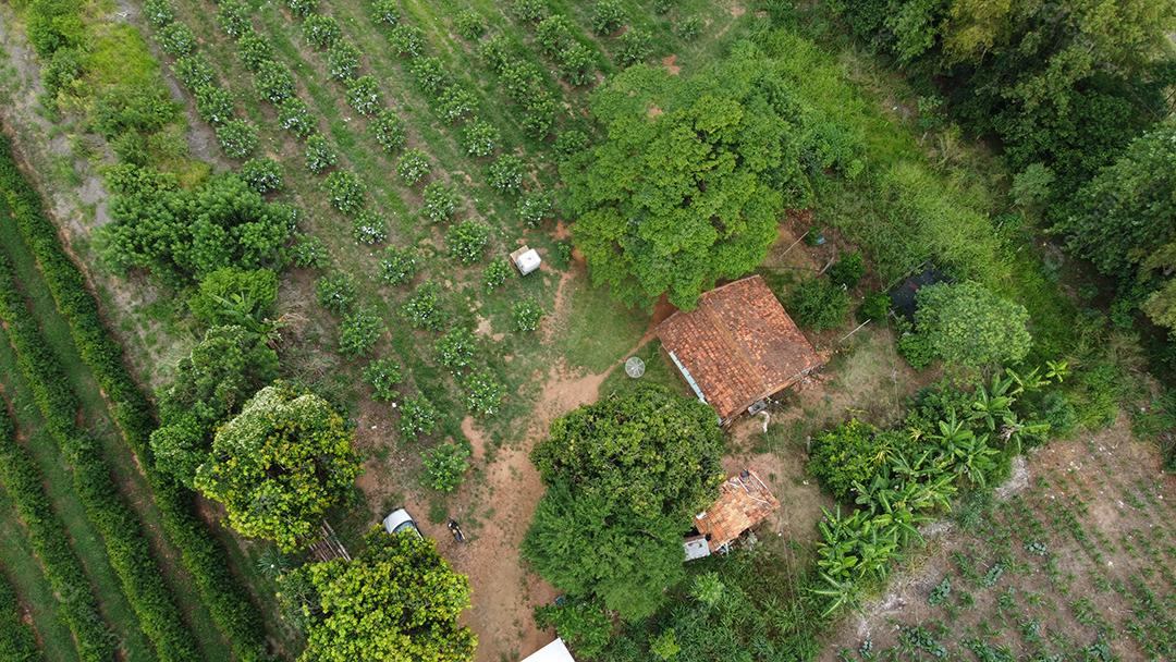 Vista aerea de Plantaçao Plantas agropecuaria