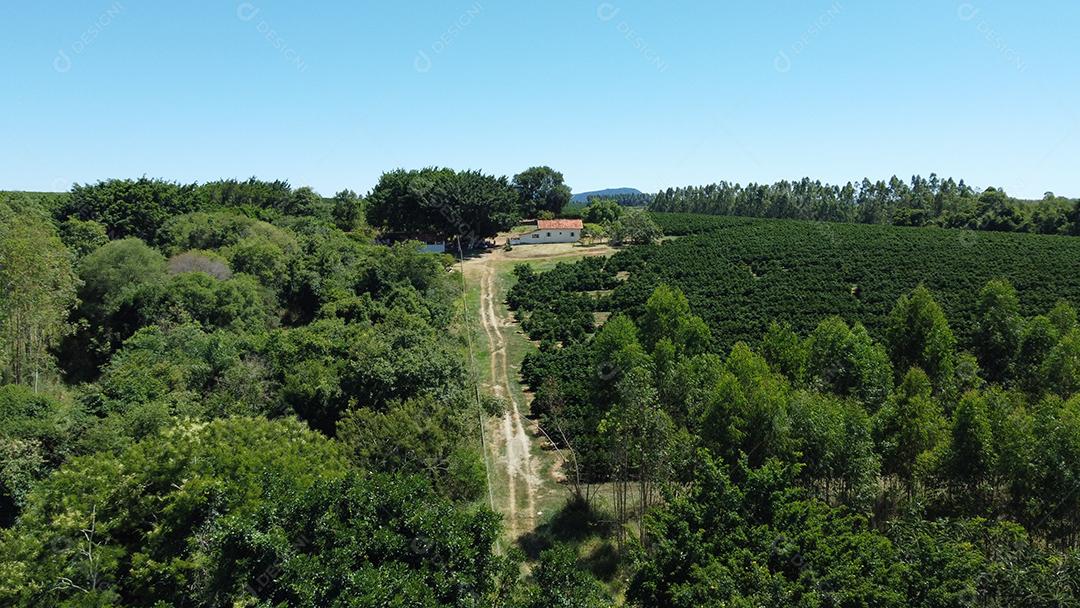 Vista aerea de uma casa no meio de uma floresta