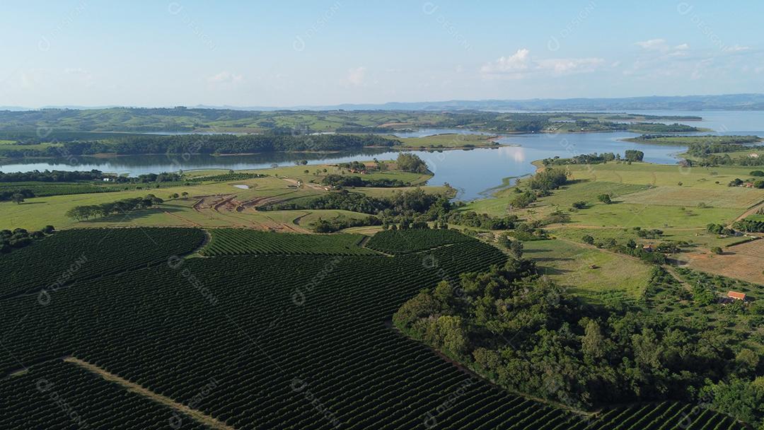 Vista aerea de uma Plantaçao de café agropecuaria