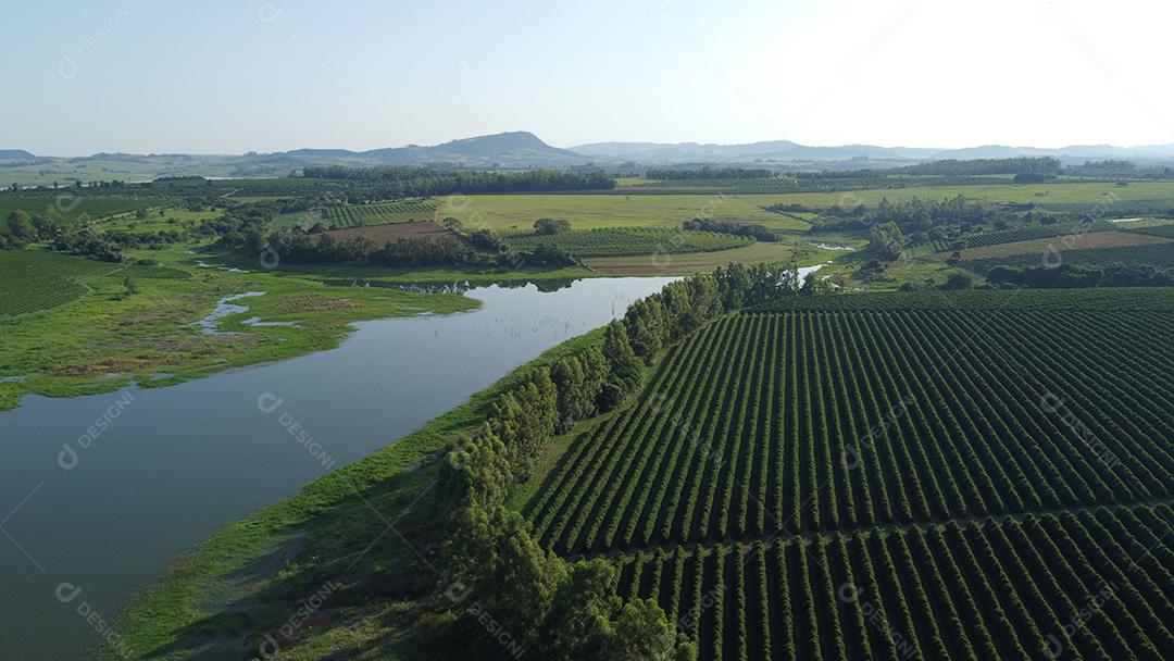 Vista aerea de uma Plantaçao de café agropecuaria