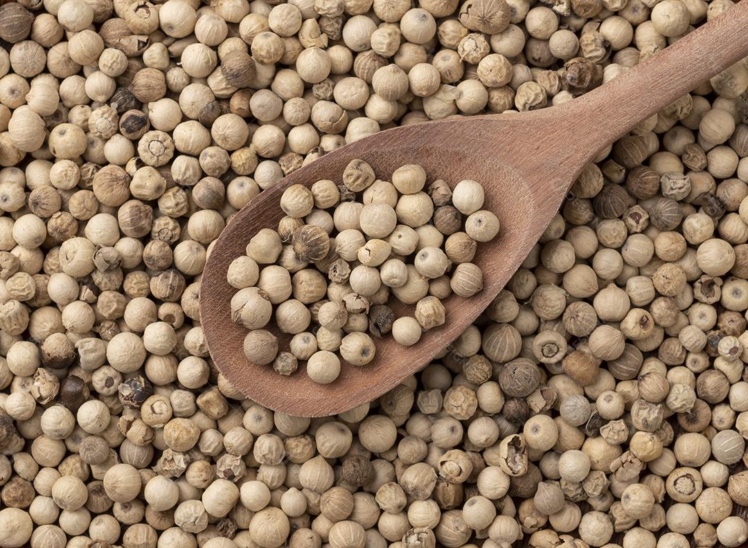 Vista superior, grãos de pimenta branca em uma colher de madeira. Alimento