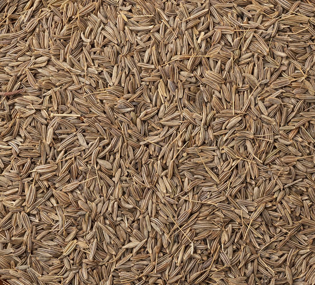 sementes de cominho. Pano de fundo alimentar