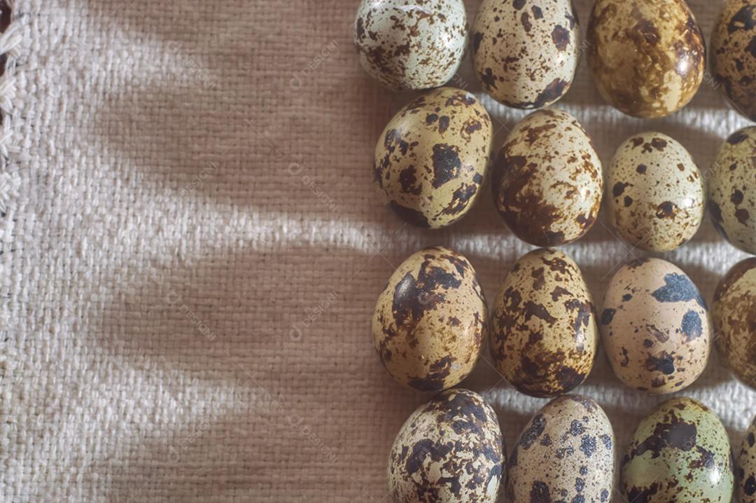 Closeup de ovos de codorna em um fundo de despedida, textura e conceito de fazenda.