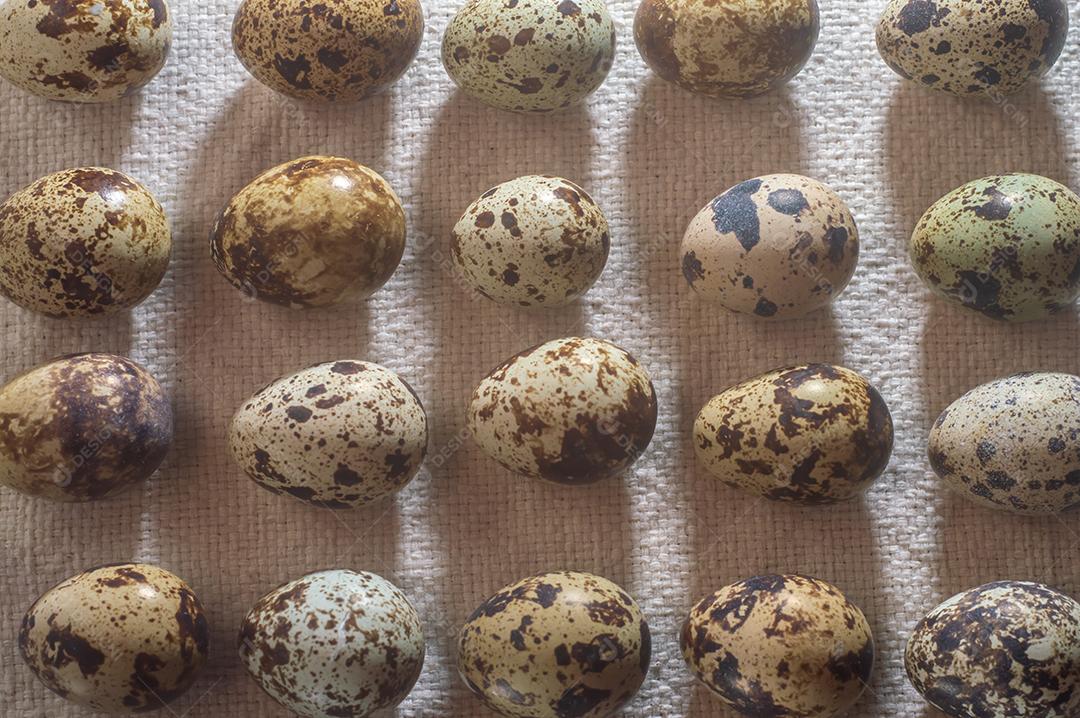 Closeup de ovos de codorna em um fundo de despedida, textura e conceito de fazenda.