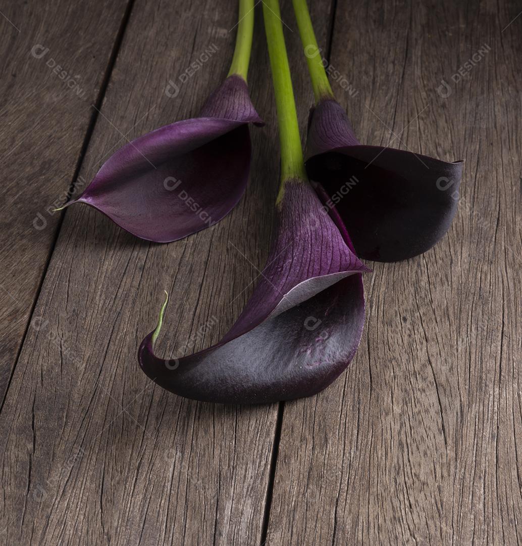 Lírios roxos sobre a mesa de madeira