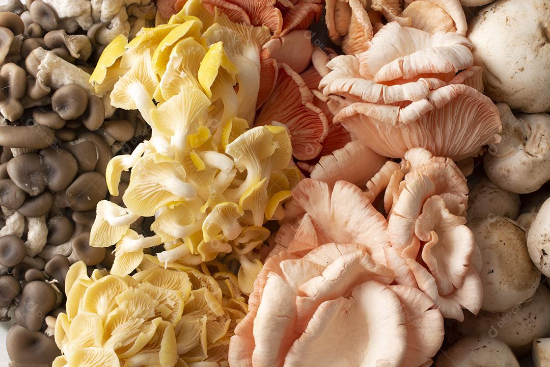 Shimeji, limão, salmão e cogumelos paris champignon