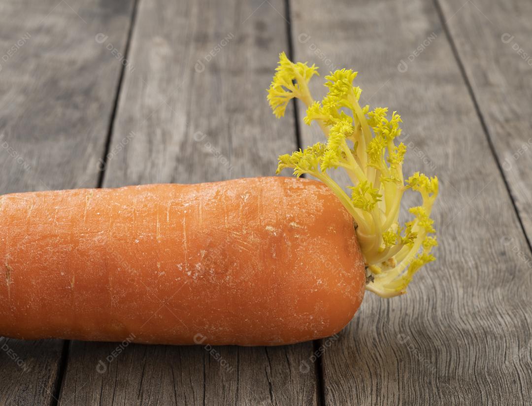 Cenoura com broto crescente sobre a mesa de madeira