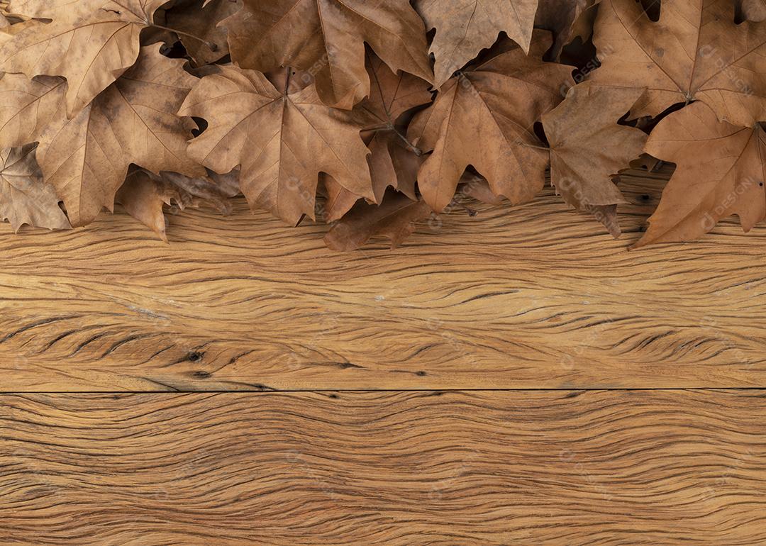 Folhas de bordo secas marrons sobre fundo de madeira
