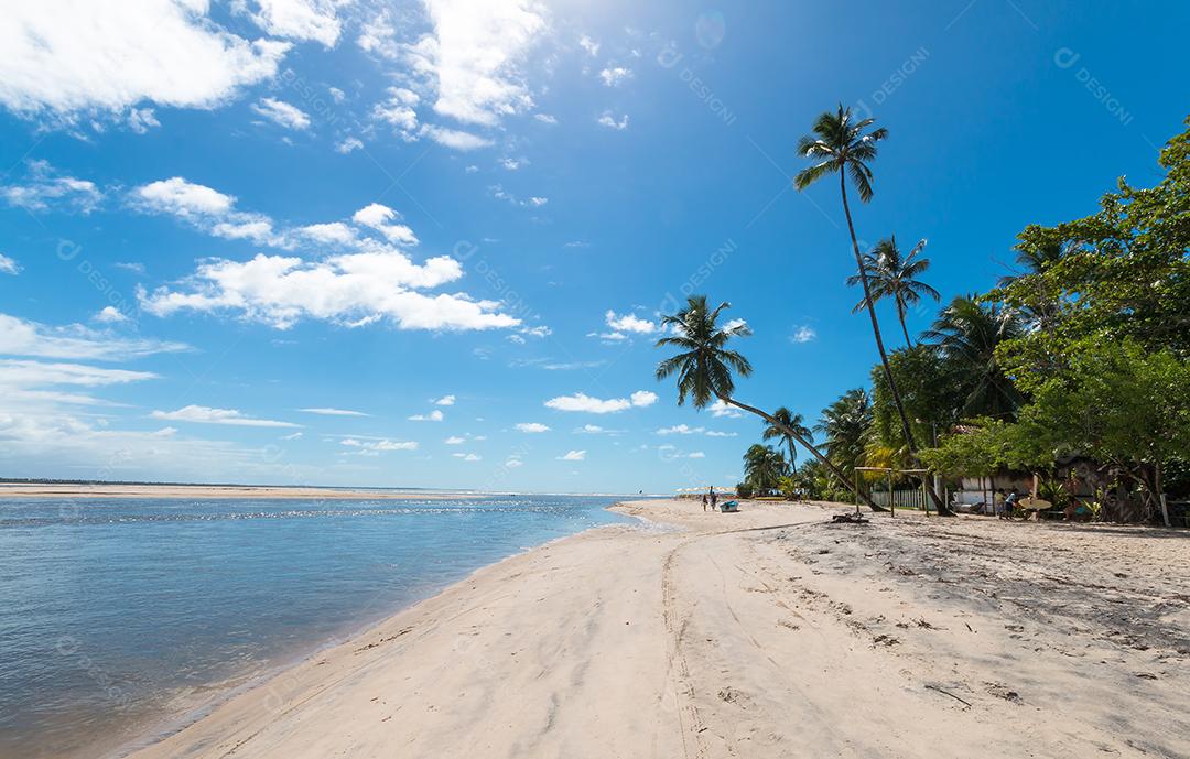 Praia tropical com palmeiras de coco inclinada na Ilha de Boipeba Bahia