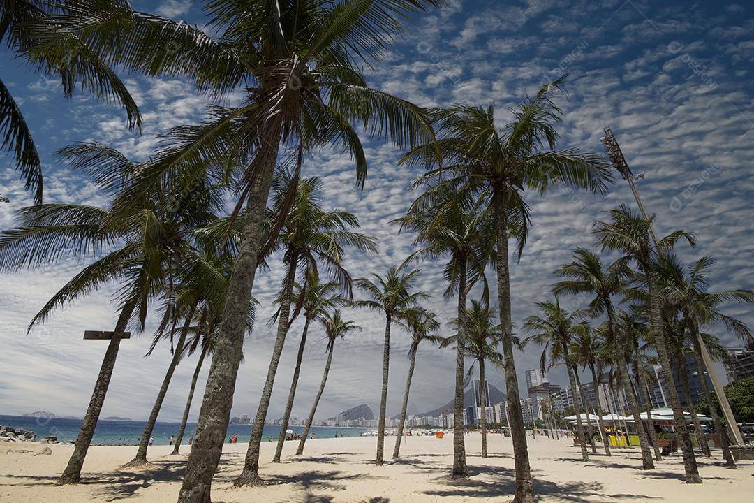 Coqueiros na Praia de Copacabana Rio de Janeiro Brasil