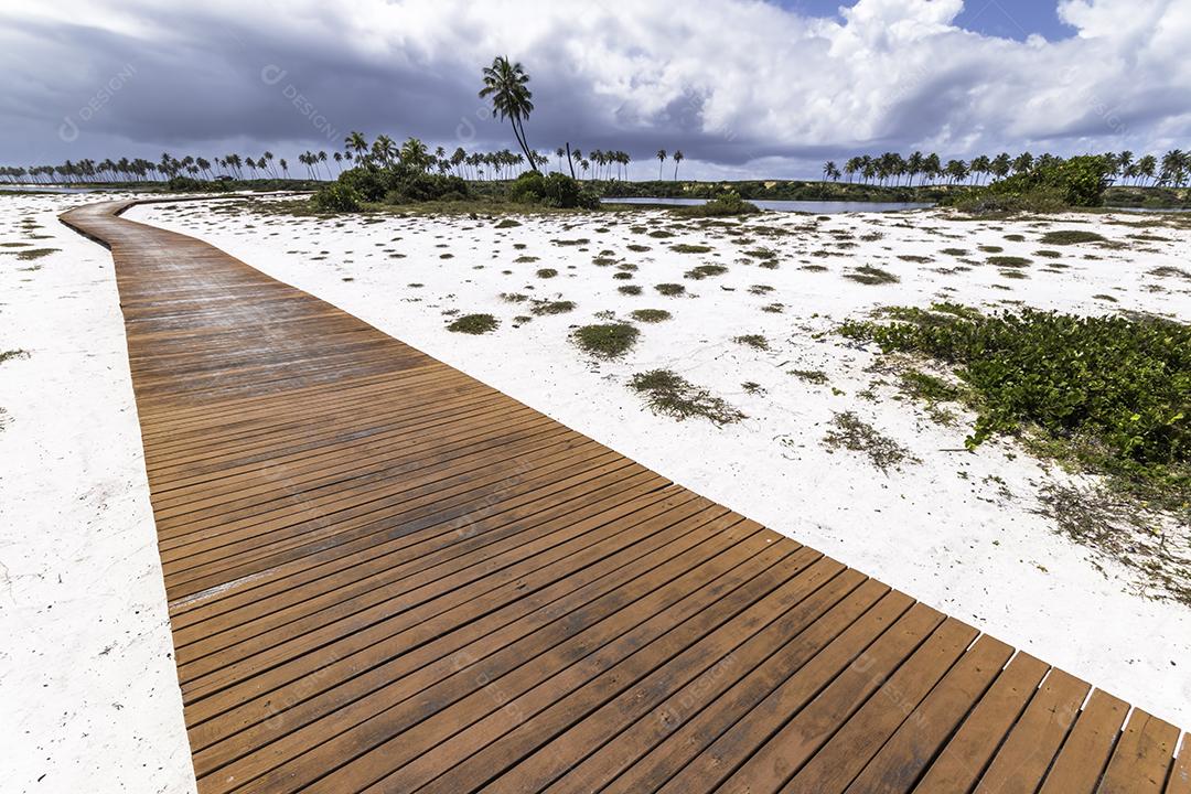 Paisagem com caminho de madeira infinito em uma ilha na Costa