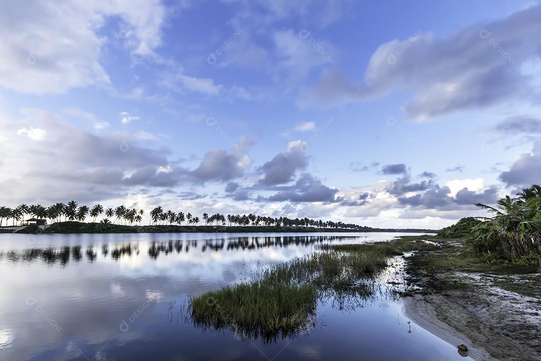 Paisagem tropical com coqueiros em uma ilha na Costa
