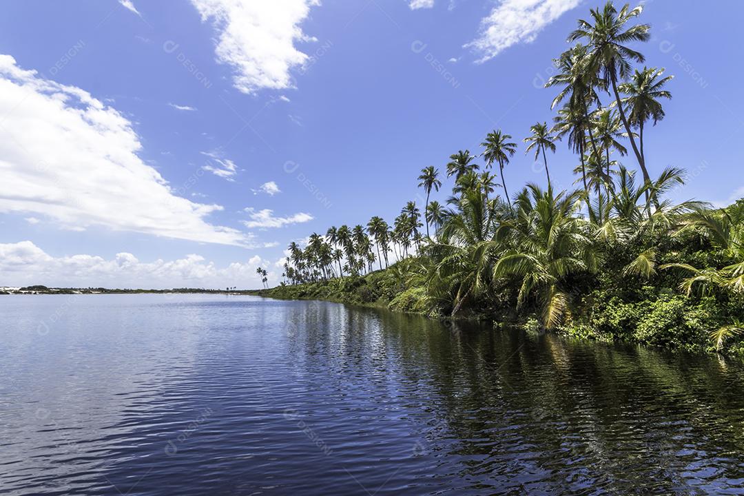 Paisagem tropical com coqueiros em uma ilha na Costa