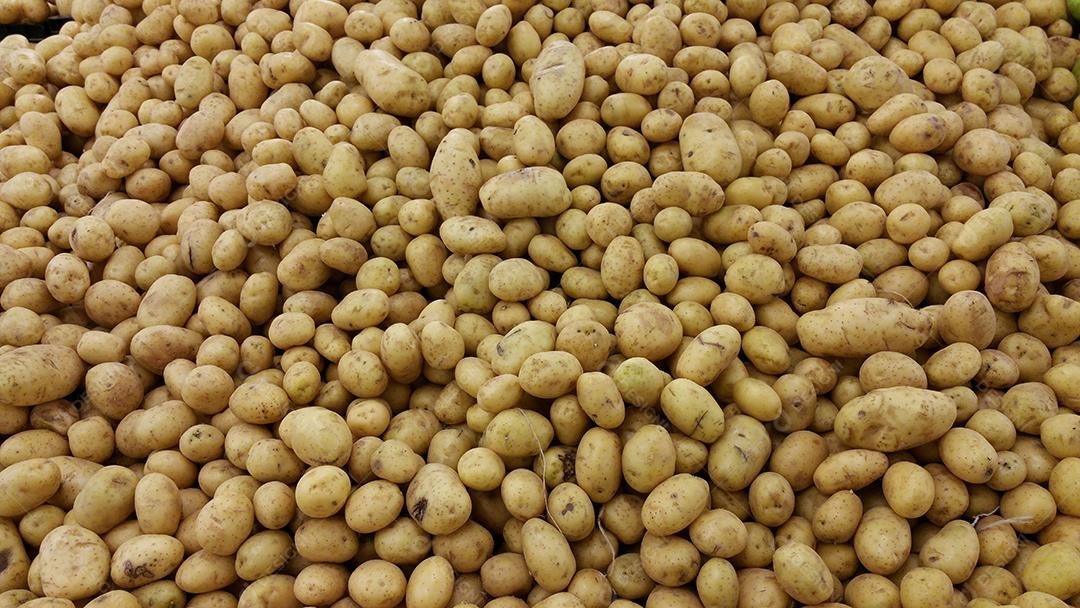 Batatas à venda no mercado. Alimentos naturais