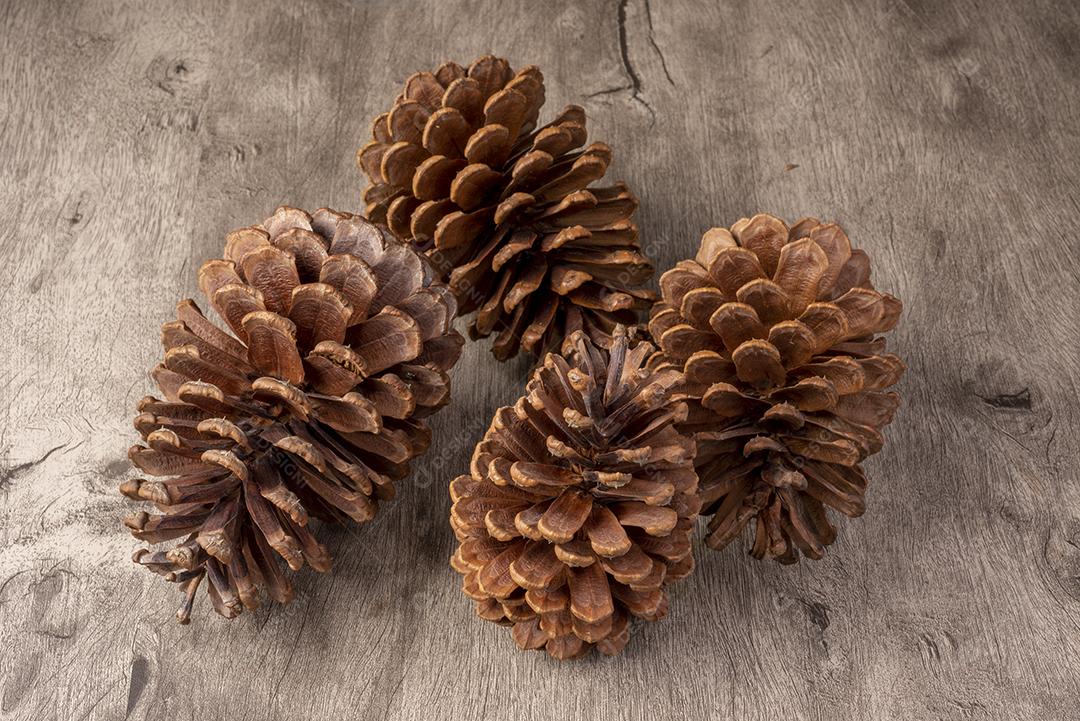 Grupo de pinhas sobre a mesa de madeira.