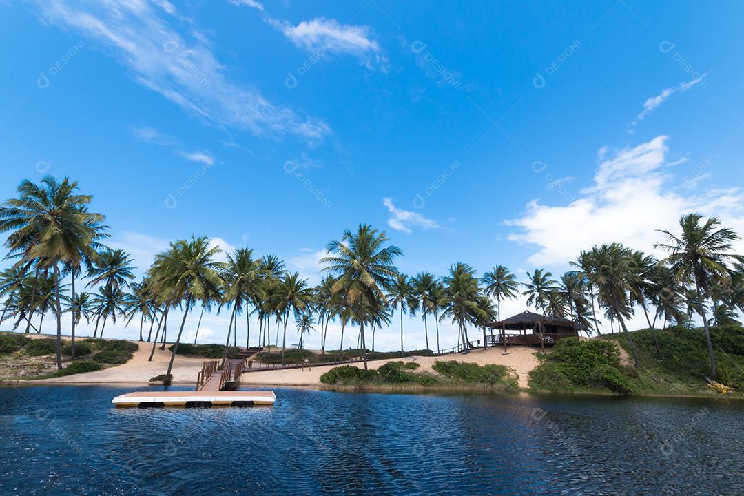 Paisagem de verão tropical com coqueiros e céu azul