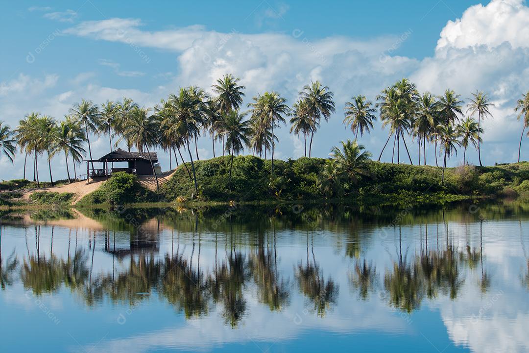 Paisagem de verão tropical com coqueiros e céu azul