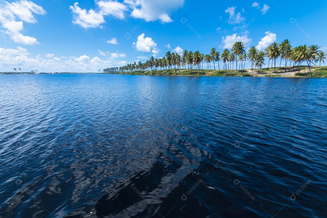 Paisagem tropical de verão com coqueiros e céu azul.