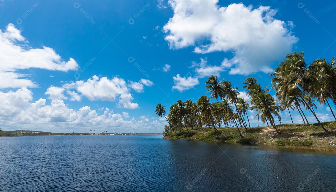Paisagem de verão tropical com coqueiros e céu azul