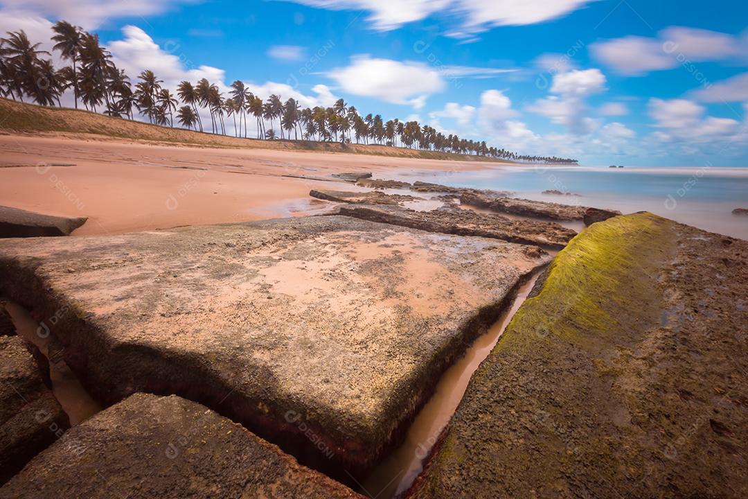 Paisagem de praia tropical com coqueiros e rochas longas exposições