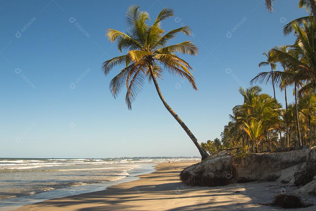 Praia tropical deserta com coqueiros ao pôr do sol