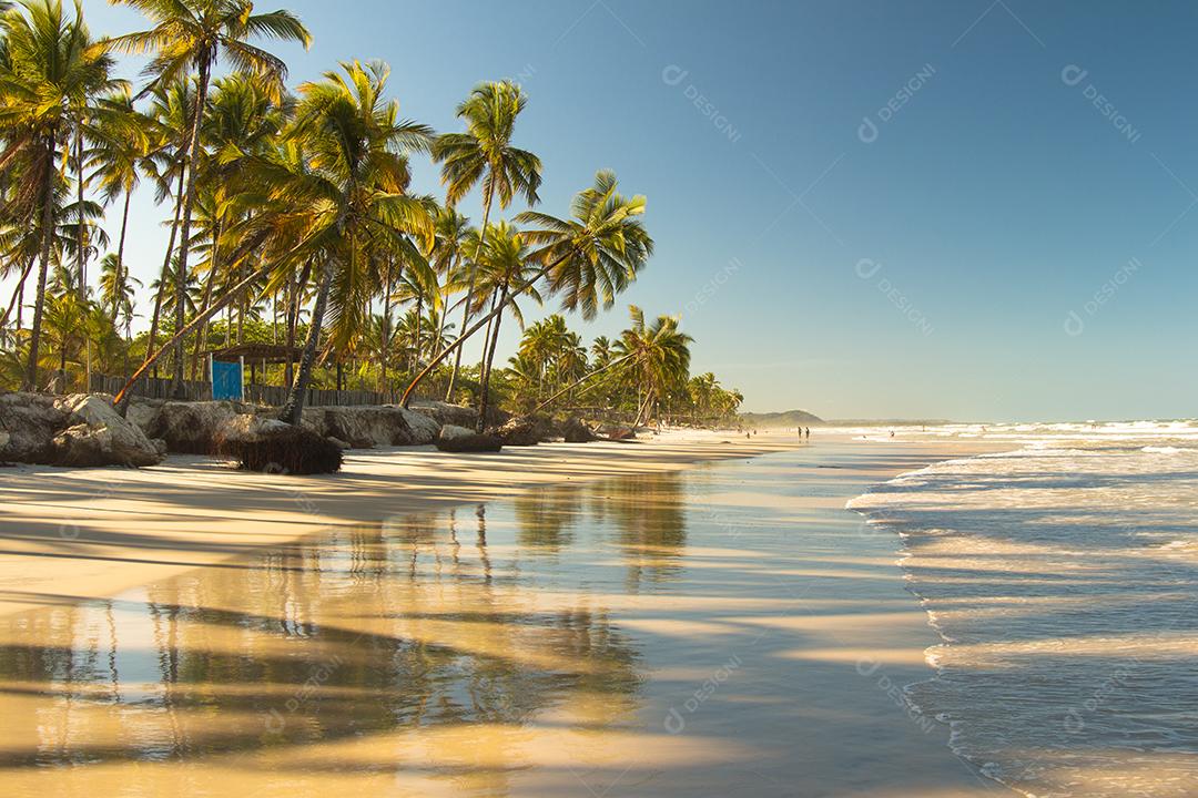 Praia tropical deserta com coqueiros ao pôr do sol