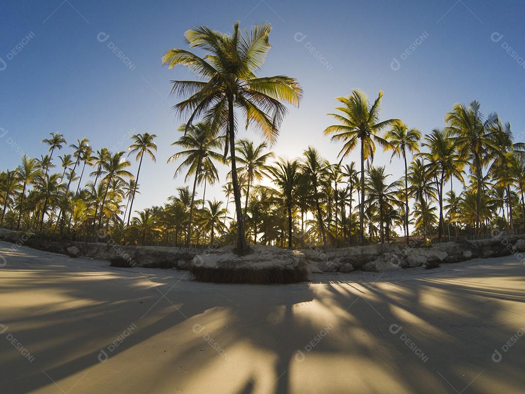 Praia tropical deserta com coqueiros ao pôr do sol