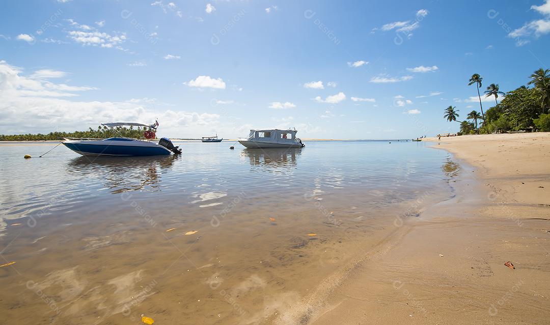 Praia tropical com coqueiros e barcos na ilha de Boi