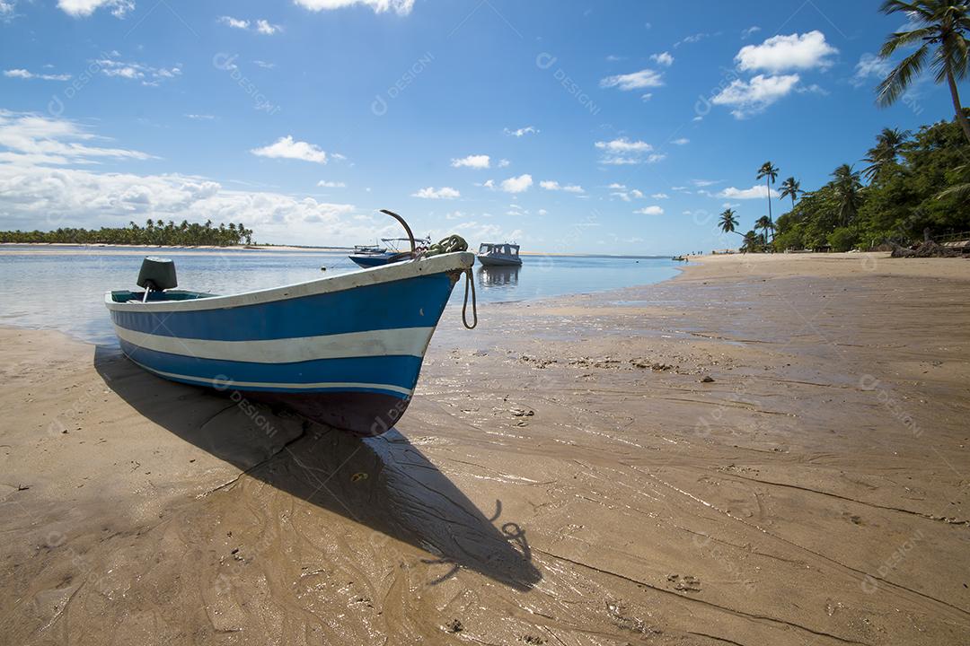 Praia tropical com coqueiros e barcos na ilha de Boi