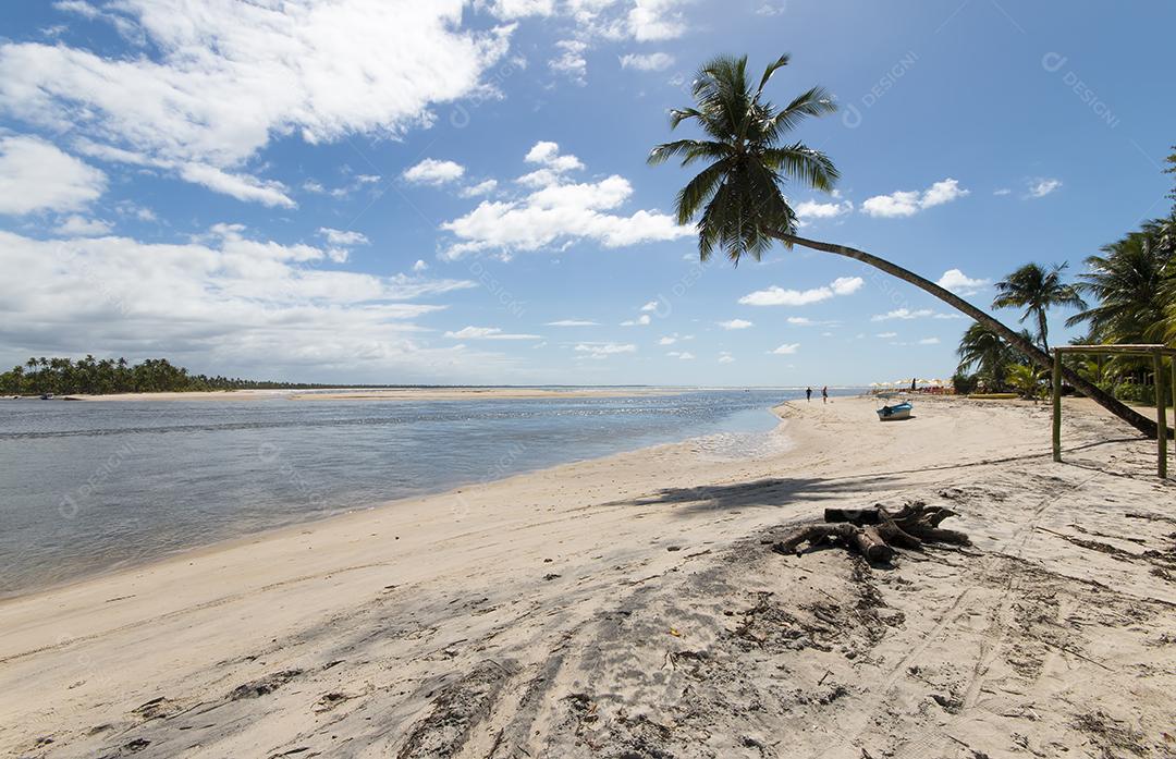 Praia tropical com coqueiros na ilha de Boipeba
