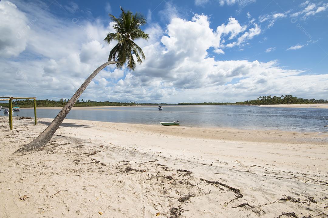Praia tropical com coqueiros na ilha de Boipeba