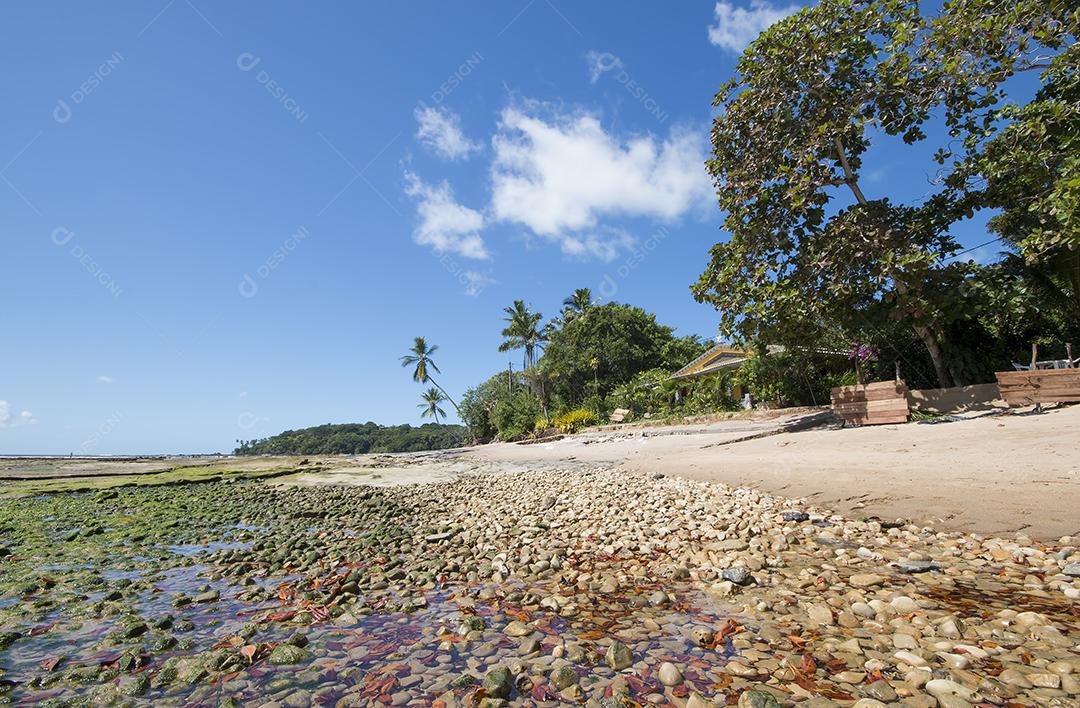Praia tropical com coqueiros na ilha de Boipeba na Ba
