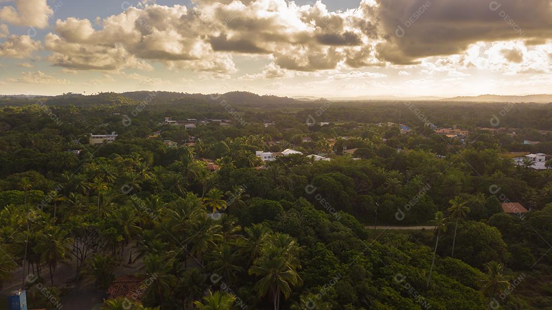 Vista aérea de drone da paisagem com coqueiros no litoral