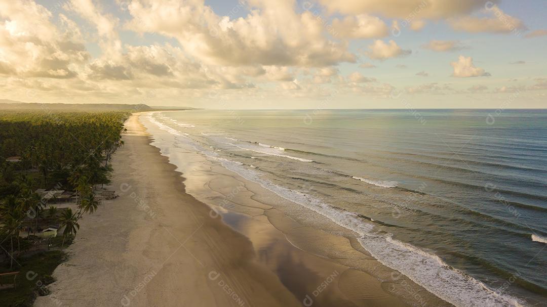 Vista aérea de drone da praia com coqueiros no litoral