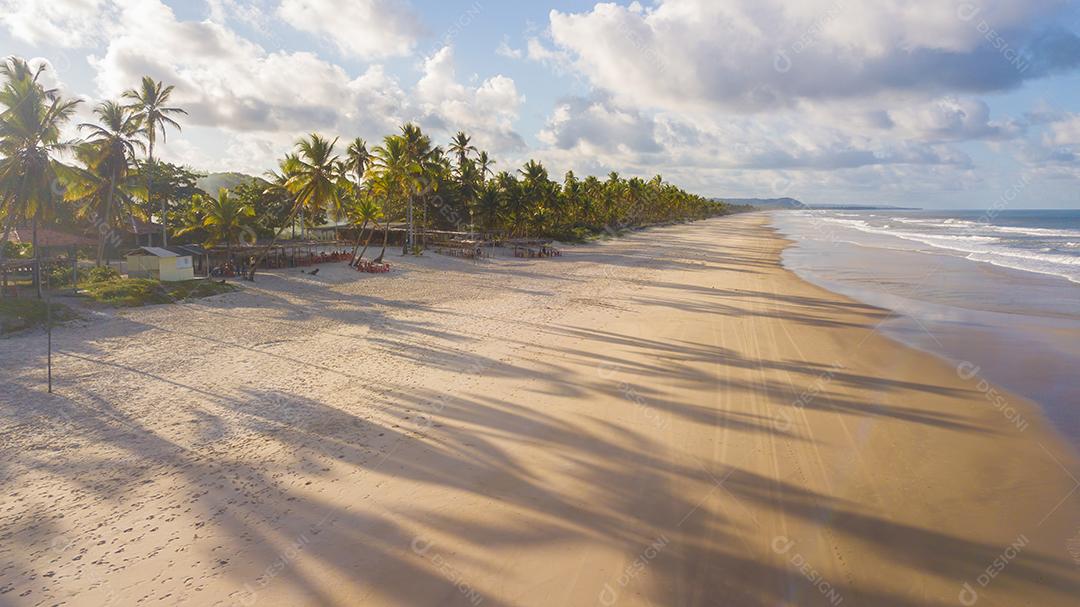 Vista aérea de drone da praia com coqueiros no litoral