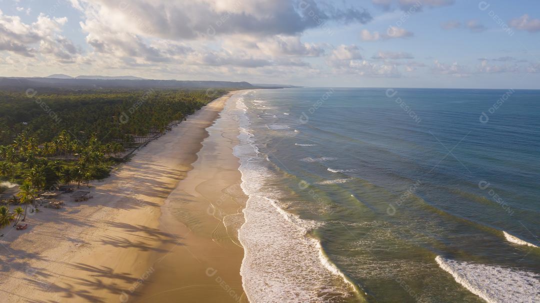 Vista aérea de drone de praia com coqueiros no litoral de Ilhéus Bahia Brasil
