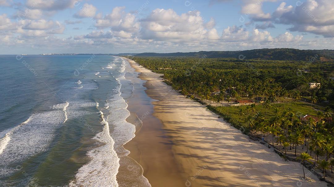 Vista aérea de drone de praia com coqueiros no litoral de Ilhéus Bahia Brasil