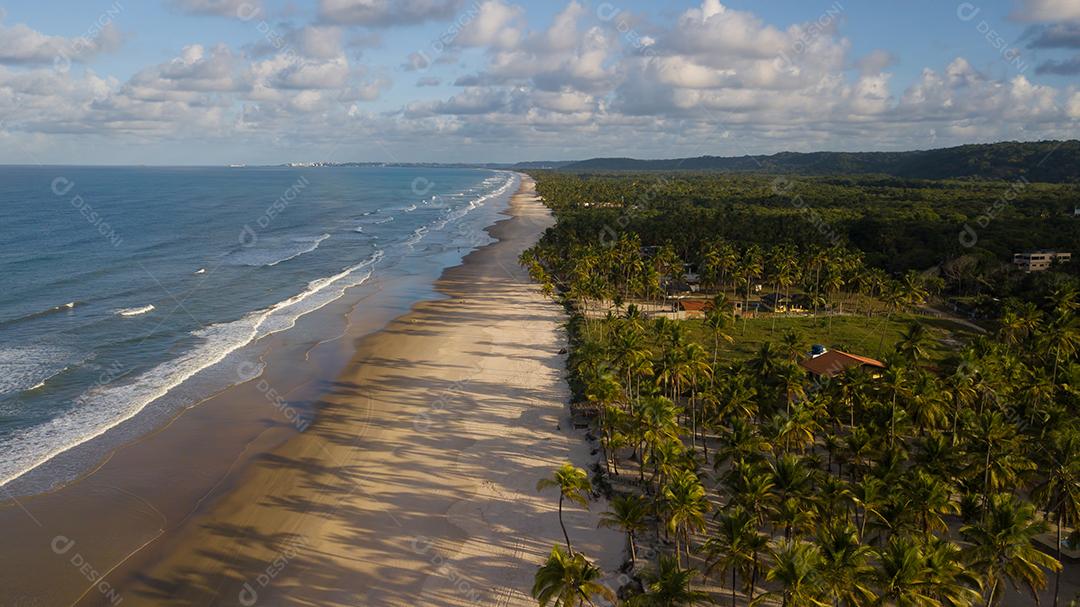 Vista aérea de drone da praia com coqueiros no litoral