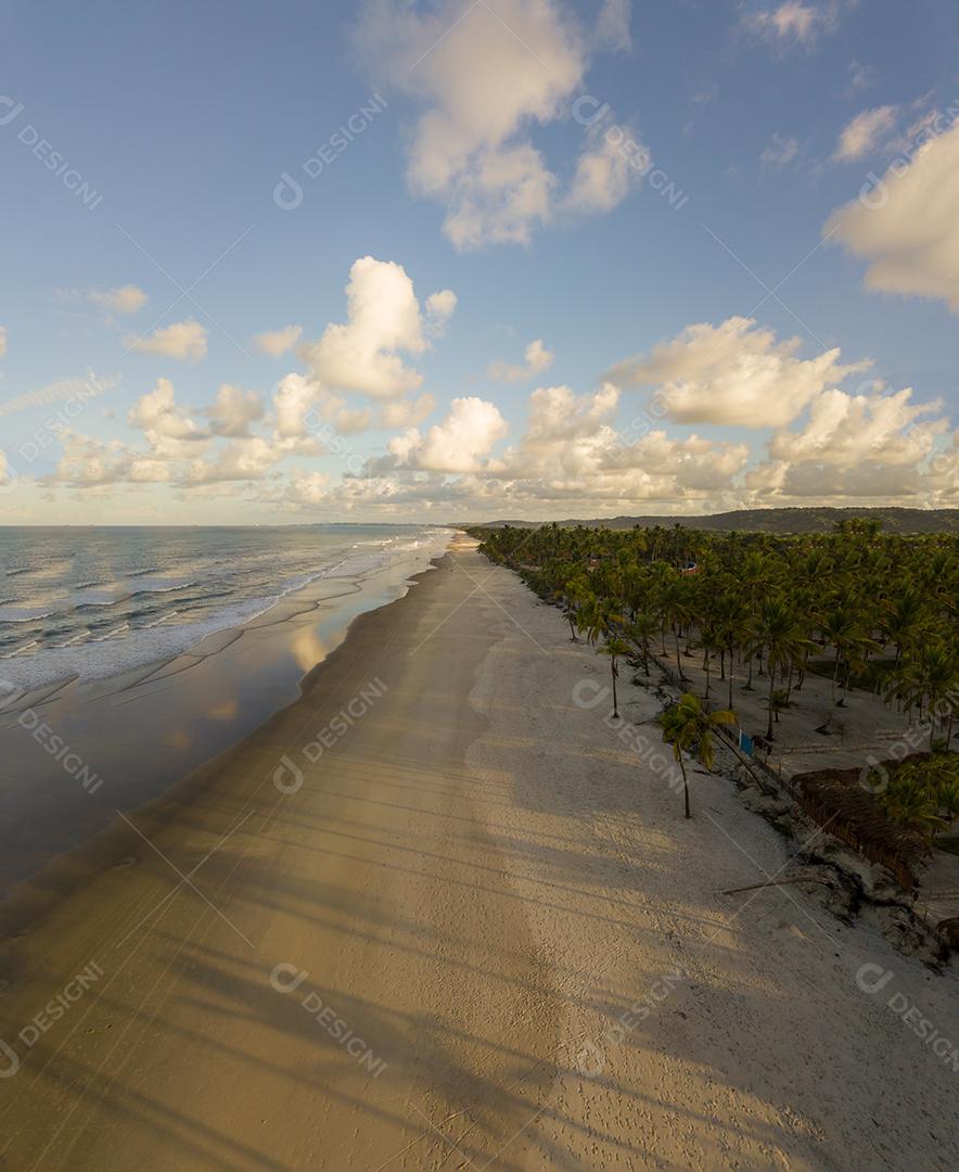Vista aérea de drone da praia com coqueiros no litoral