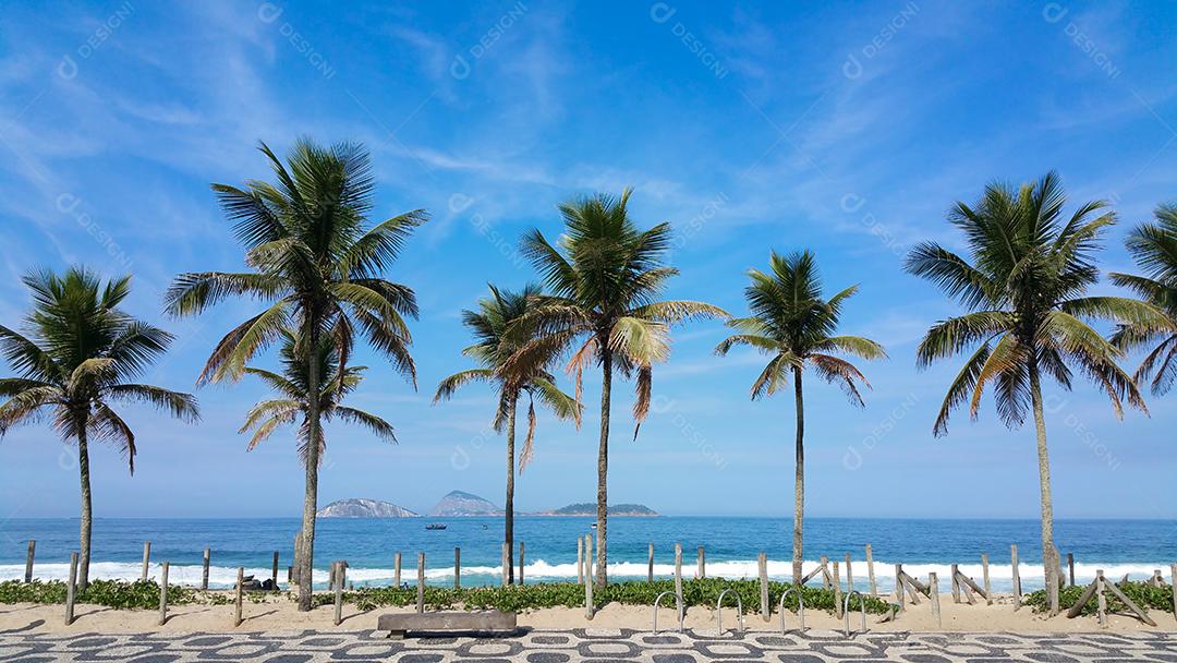 Coqueiros na praia de Ipanema Rio de Janeiro Brasil