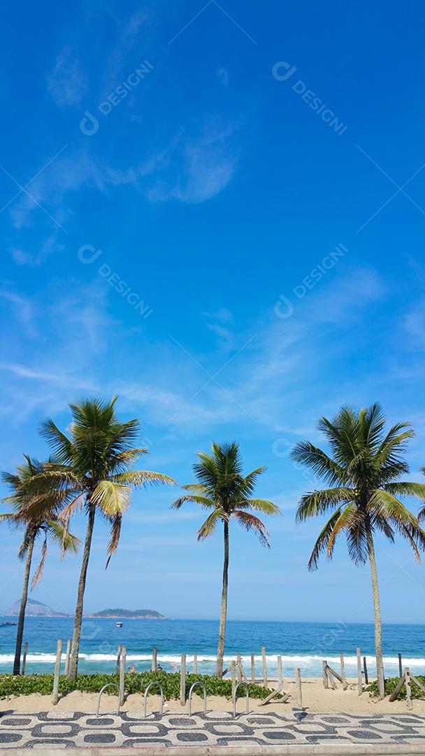 Coqueiros na praia de Ipanema Rio de Janeiro Brasil