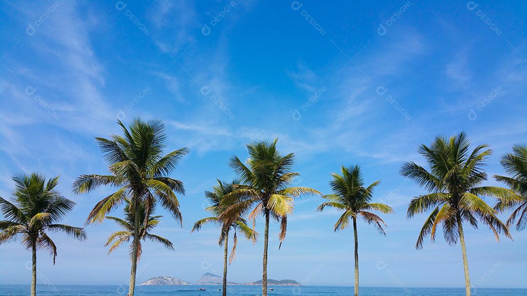 Coqueiros na praia de Copacabana Rio de Janeiro Brasil