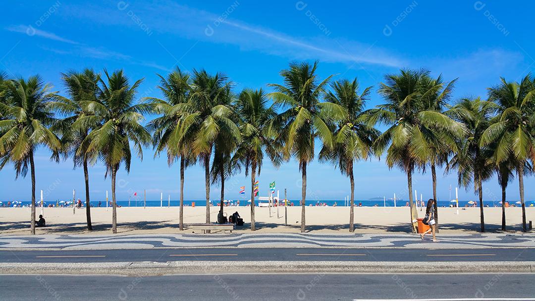 Coqueiros na praia de Copacabana Rio de Janeiro Brasil