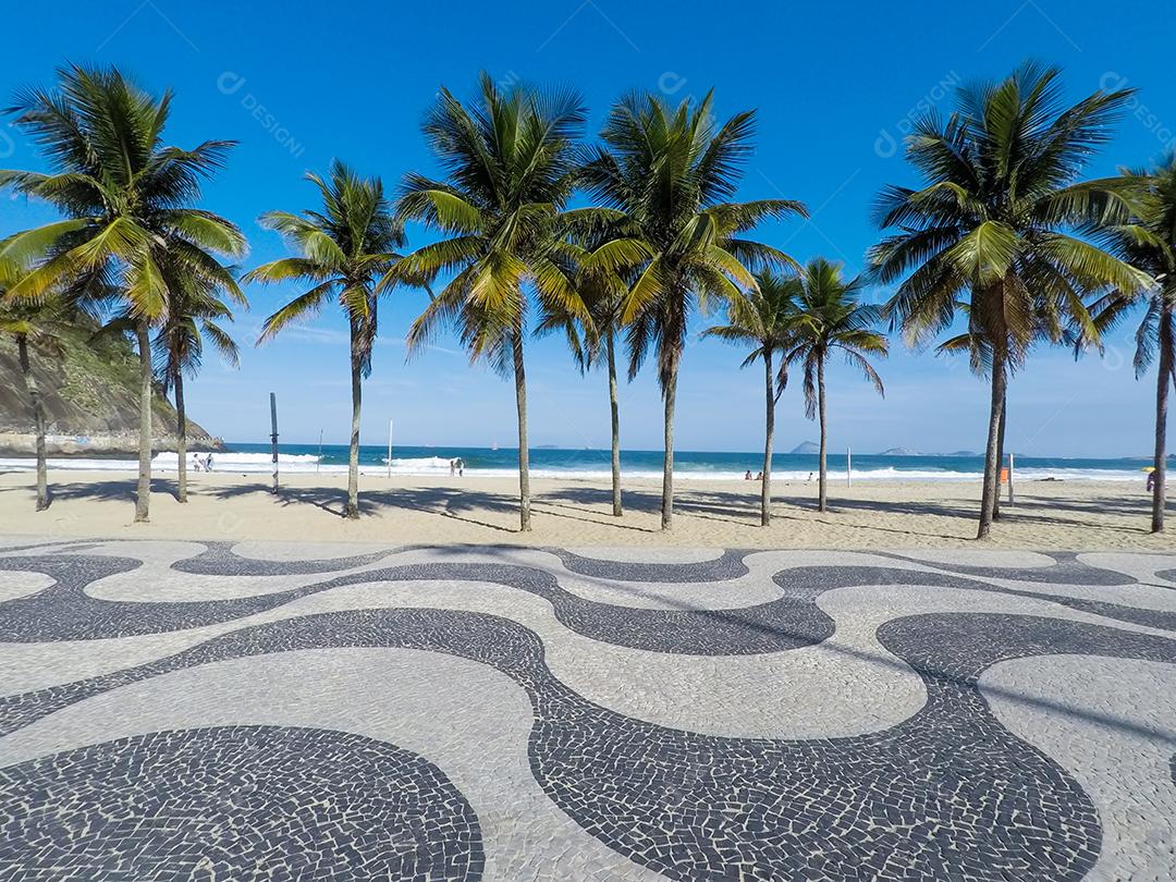 Coqueiros na praia de Copacabana Rio de Janeiro Brasil